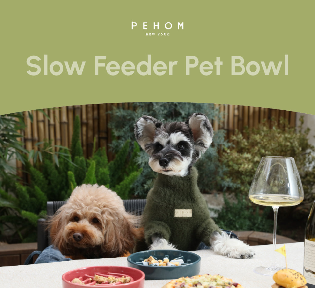 Purrfect Kingdom™ - Essential Daily Pet Feeding Bowl