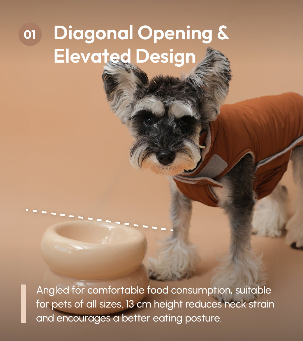 Ergonomic Ceramic Slanted Cat Bowl for Healthy Neck Support