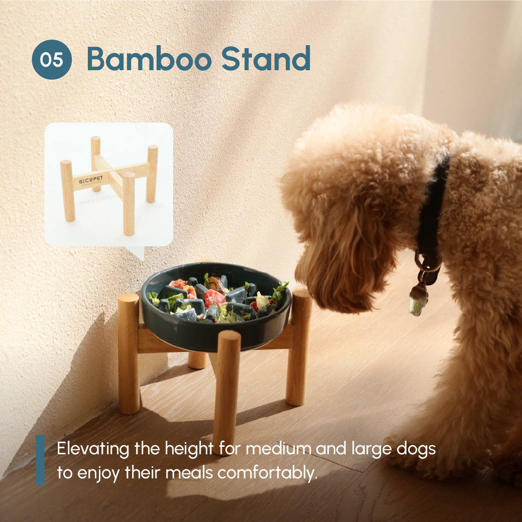 Purrfect Kingdom™ - Essential Daily Pet Feeding Bowl