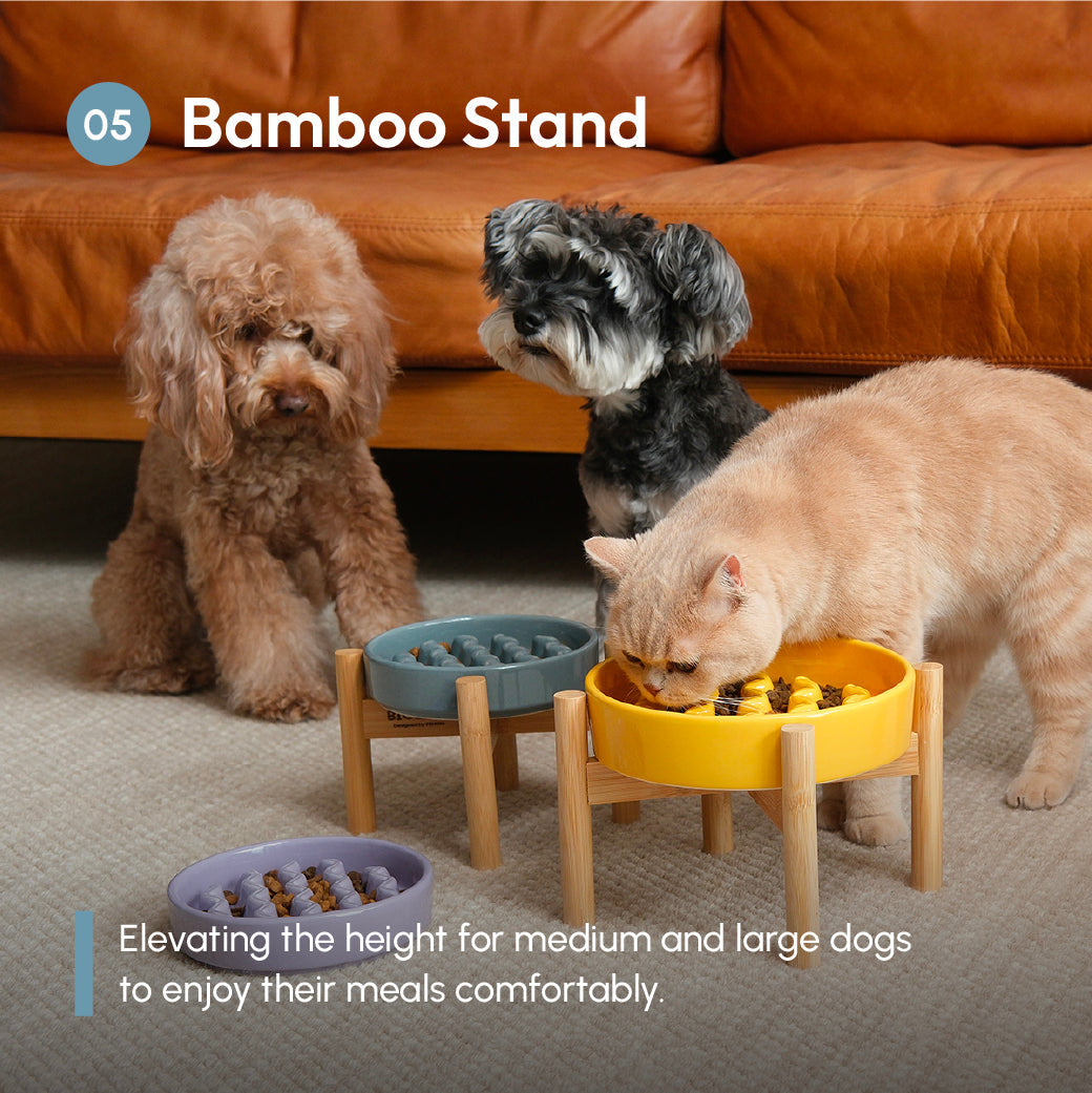 Purrfect Kingdom™ - Adjustable Yellow Pet Feeding Bowl