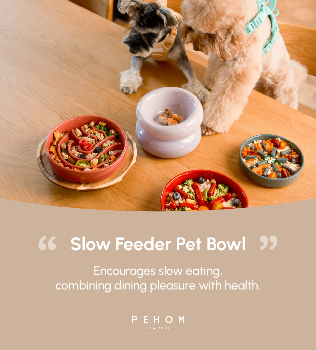 Purrfect Kingdom™ - Wave Pet Slow Feeder Bowl Set