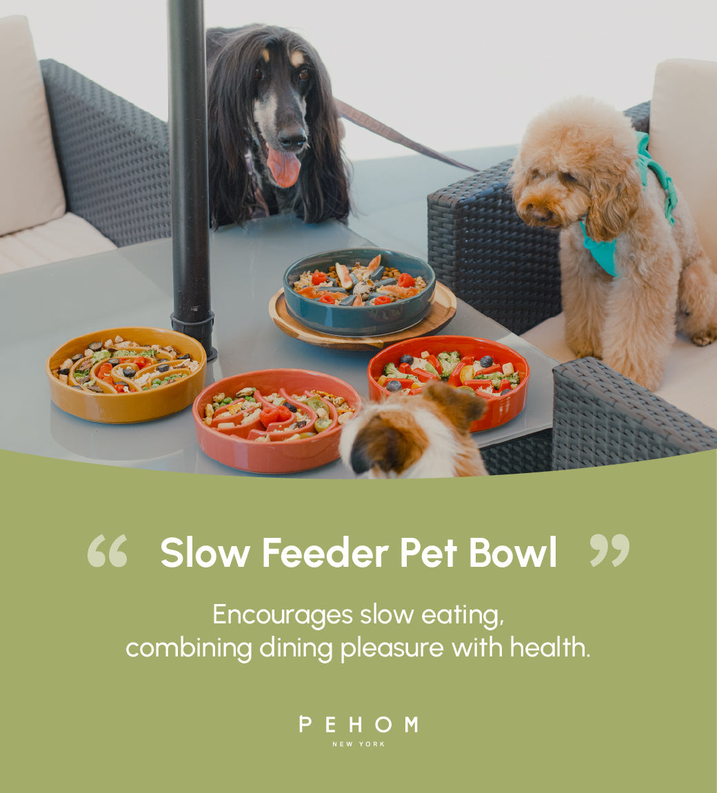 Purrfect Kingdom™ - Essential Daily Pet Feeding Bowl