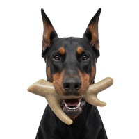 Ever Antler Nylon Chew Bone | Elk Antler Shaped Dog Toy for Aggressive Chewers | SodaPup