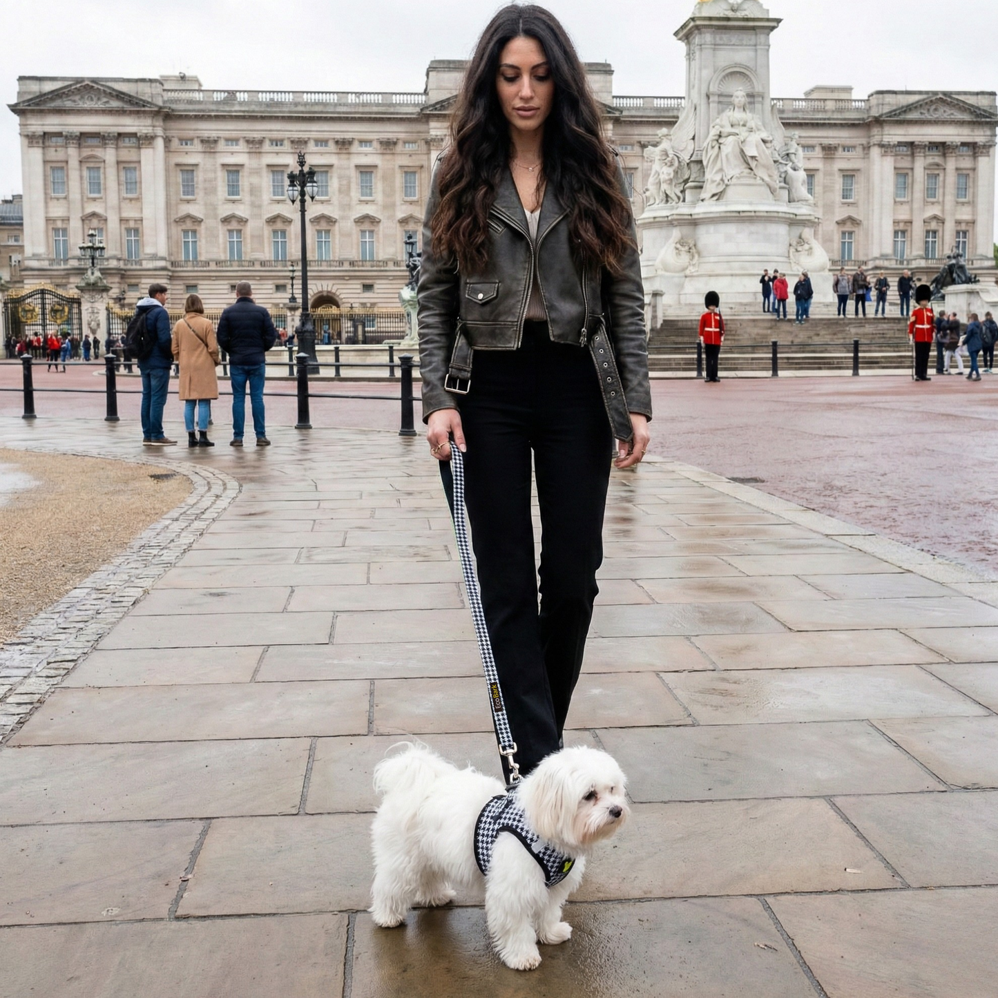 Dog Harness EcoBark Step In Harness XXXS to Small Breeds- - gallery product image for dog harness