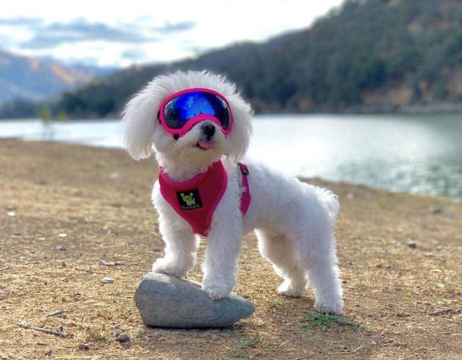 Dog Harness EcoBark Pink Harness Over-the-Head Soft Mesh - gallery product image for dog harness