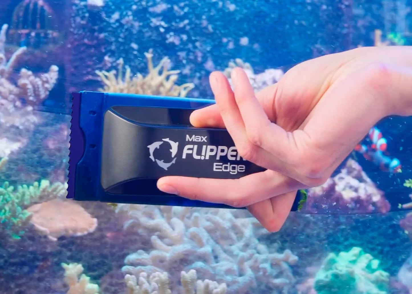 Scraper Blades – Flipper Edge 10-Pack Acrylic Safe Refill