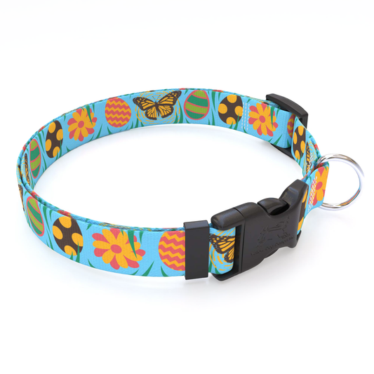 Egg-celent Morning Dog Collar