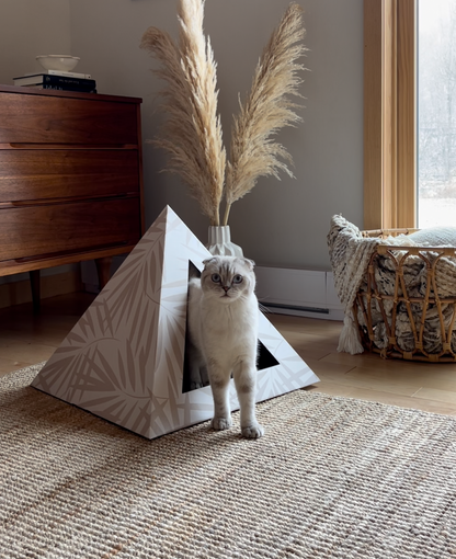 Woven Palm Pyramid Cat Hideaway Nest for Small Feline Pets