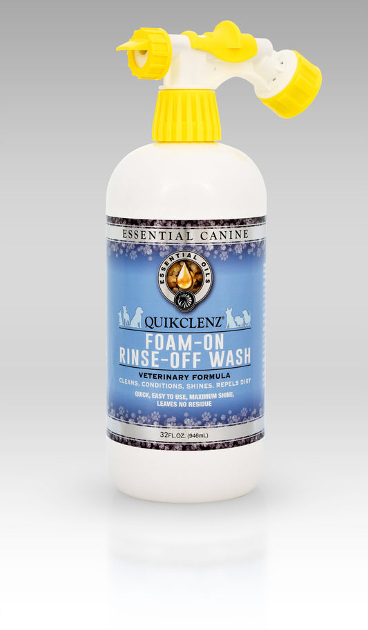 Pet Grooming Essential for Daily Care