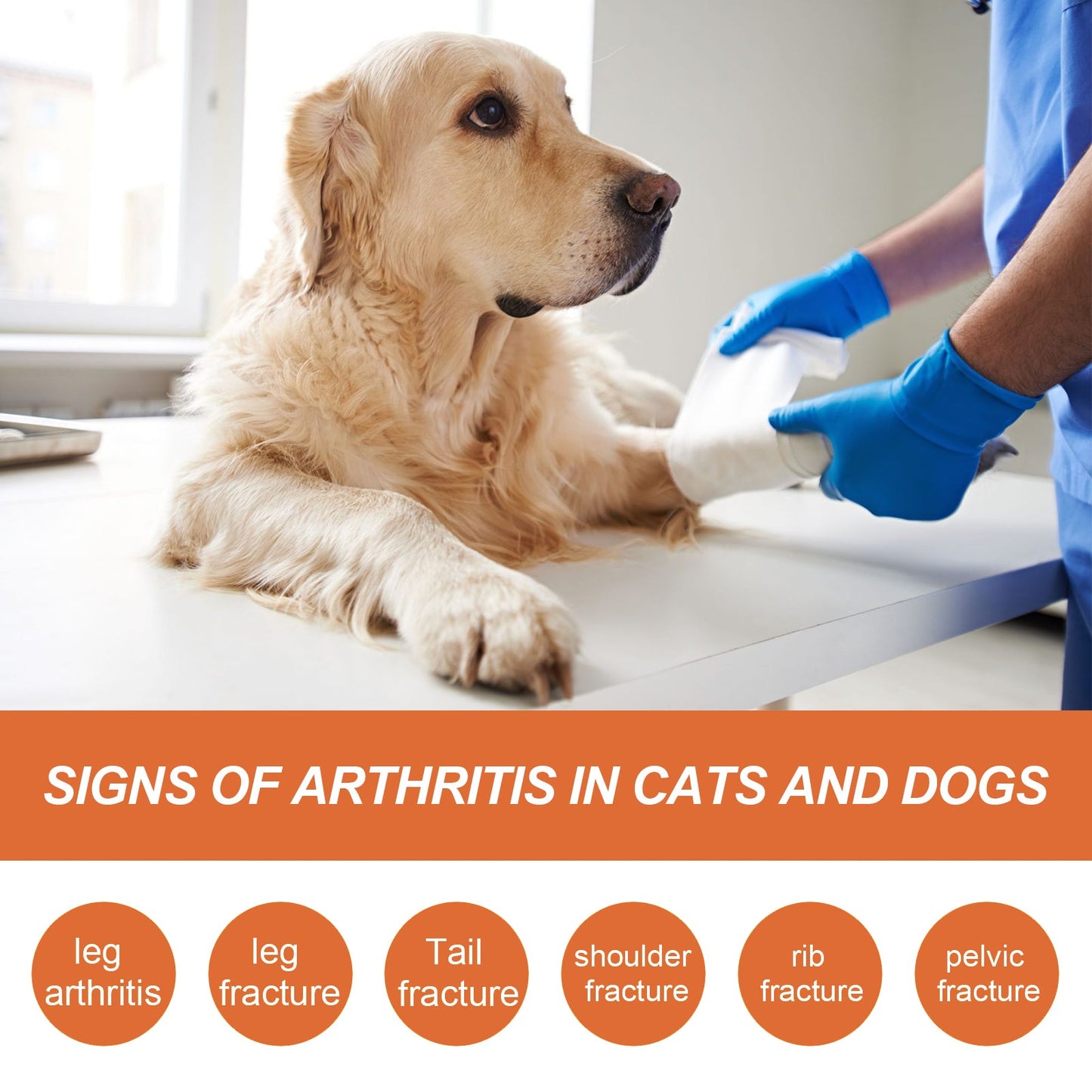 Pet Joint Repair Spray, Relieve Pet Joint Discomfort Muscle Weakness Pet Joint Care Spray