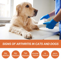 Pet Joint Repair Spray, Relieve Pet Joint Discomfort Muscle