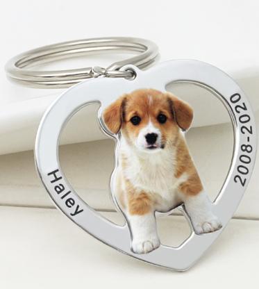 Family commemorative pet dog hang tag photo keychain couple photo titanium steel DIY necklace pendant customized