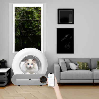 Automatic cleaning, eliminates odors, supports WiFi application control, intelligent automatic cat litter box with padding at Purrfect Pet Kingdom