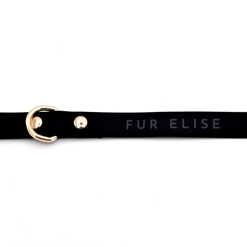 Elise Leash - Noir - Pet Leashes - Elise Galleria