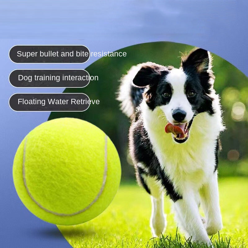 Dog Toy Rubber Elastic Tennis Ball Small and Medium sized Dog Bite Dog Toy