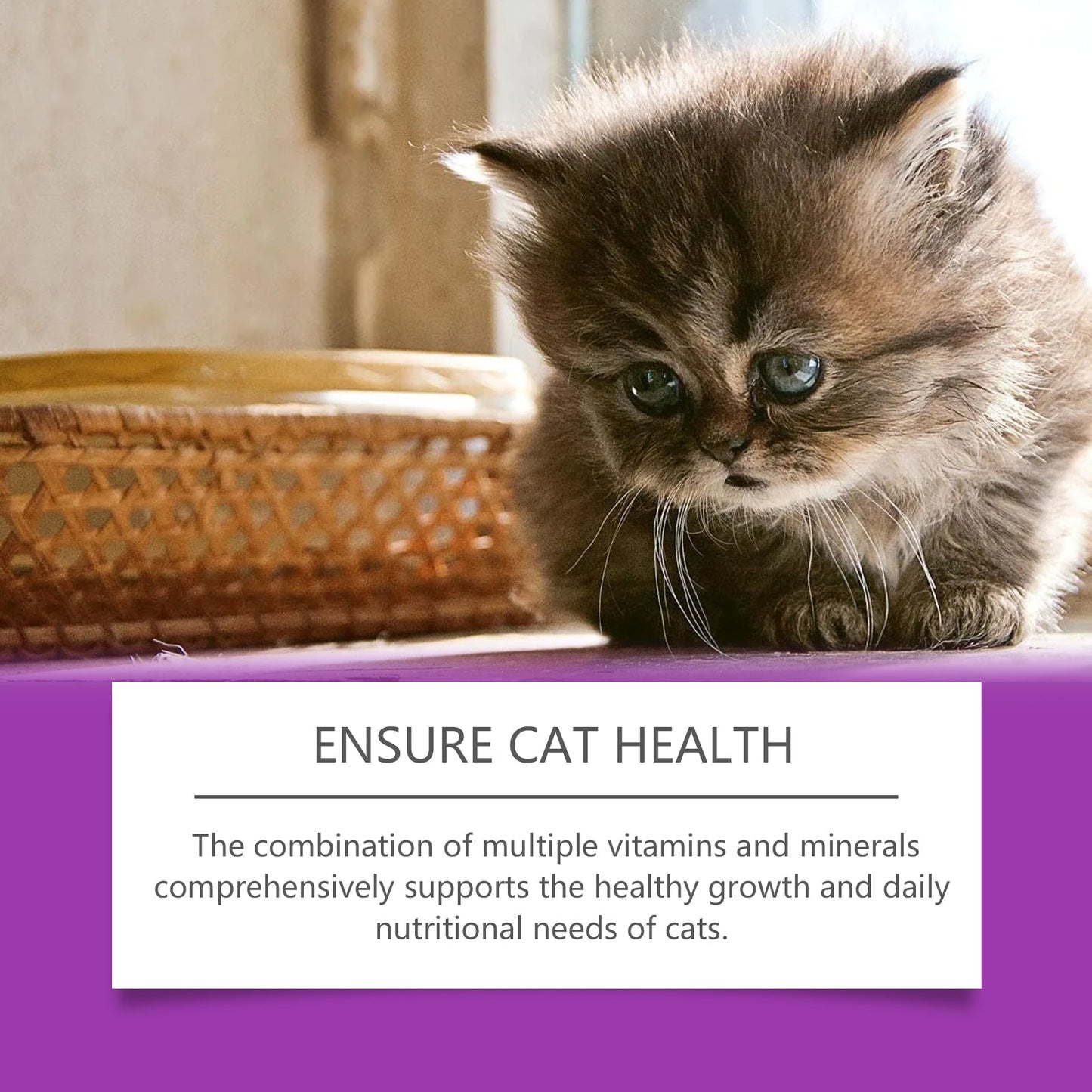 Pet Cat Vitamin Drops Care For Pets With Physical Discomfort Daily Care Vitamin Supplements - Purrfect Pet Kingdom