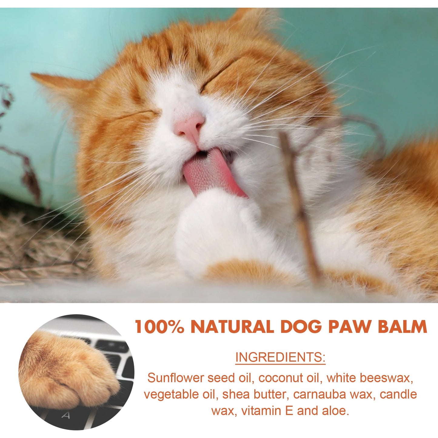 Pet Paw Balm For Cats And Dogs Foot Pad Protective Oil Soothes And Moisturizes And Cures Dry And Cracked Feet - Purrfect Pet Kingdom