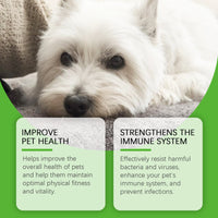 Dietary Supplements For Dogs, To Promote Pet Health Pet Dogs