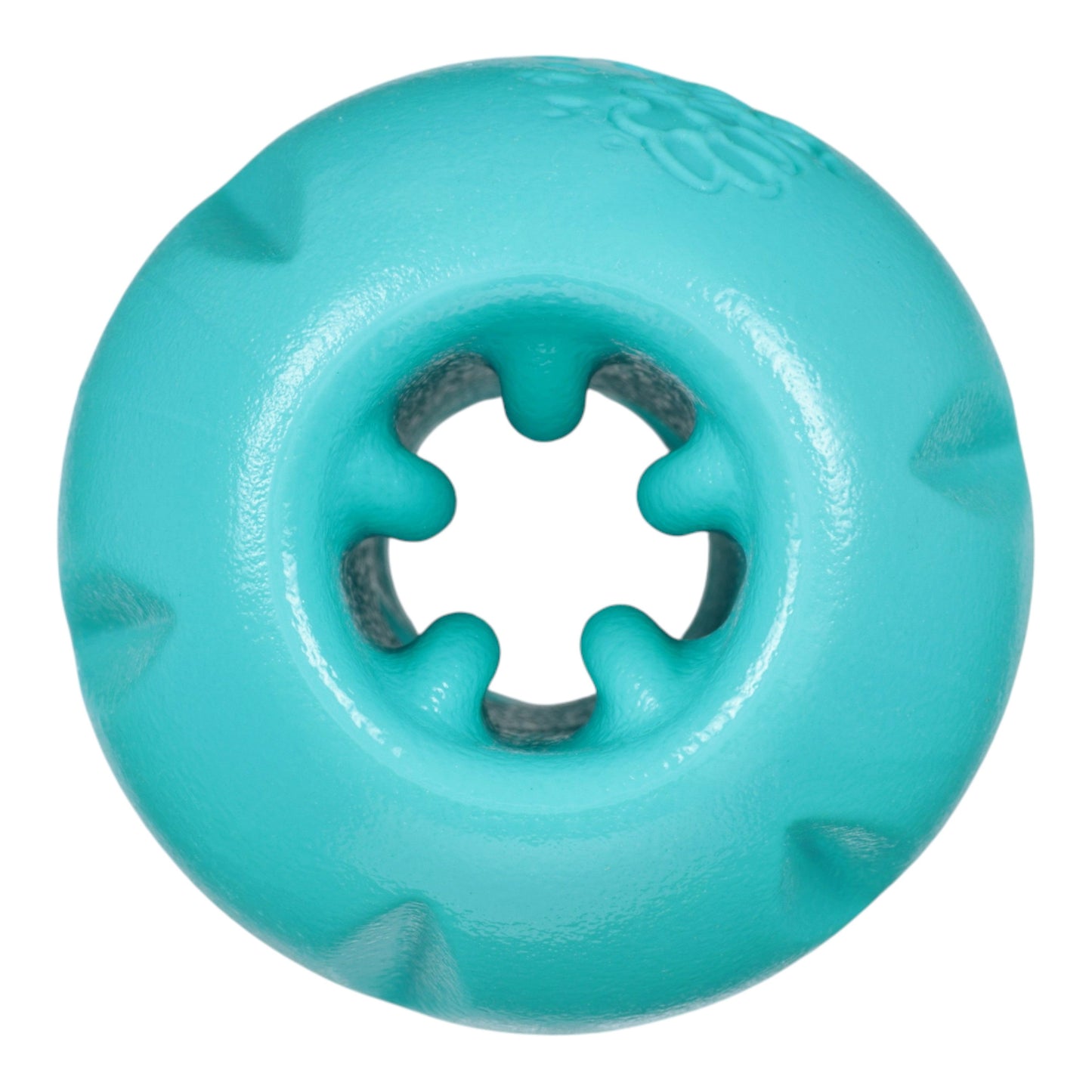 Qwizl Teal toy | Purrfect Pet Kingdom