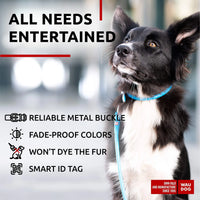 Ultra Soft Rolled Leather Dog Collar for Small Dogs   Soft