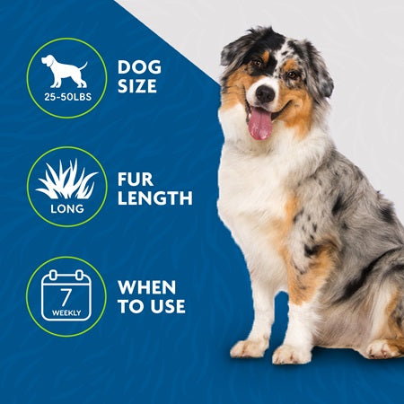 Furminator Undercoat deShedding Tool Medium Dog Long Hair - Deshedding Tools - The Family Pet