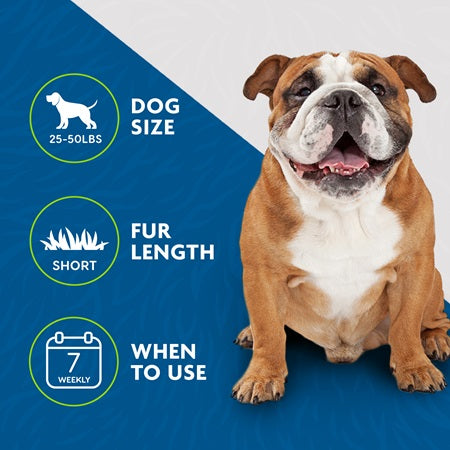 Furminator Undercoat deShedding Tool Medium Dog Short Hair - Deshedding Tools - The Family Pet