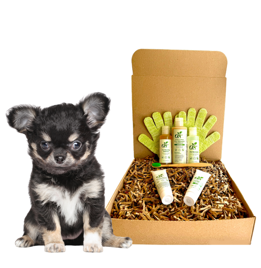 4 - FURRY DOGS *SENSITIVE GROOMING KIT - 4 Furry Friends - ReNewedPet
