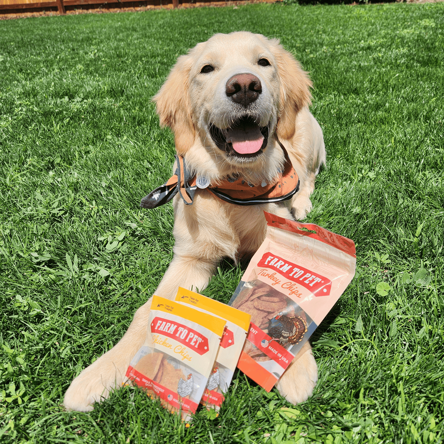 Dog Treats Puppy Starter Pack 5.7 Oz Training 🐶