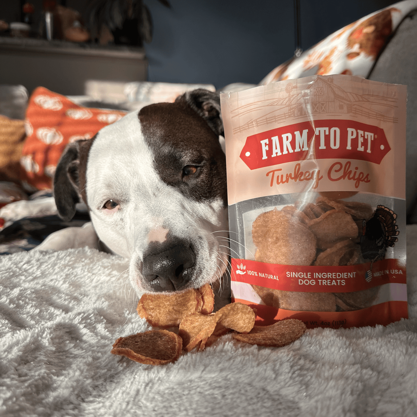 Dog Treats Turkey Chips Single Ingredient Natural 4oz 🦃