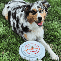 Will Fetch for Chicken Chips Dog Frisbee | Fun Toy for Dogs