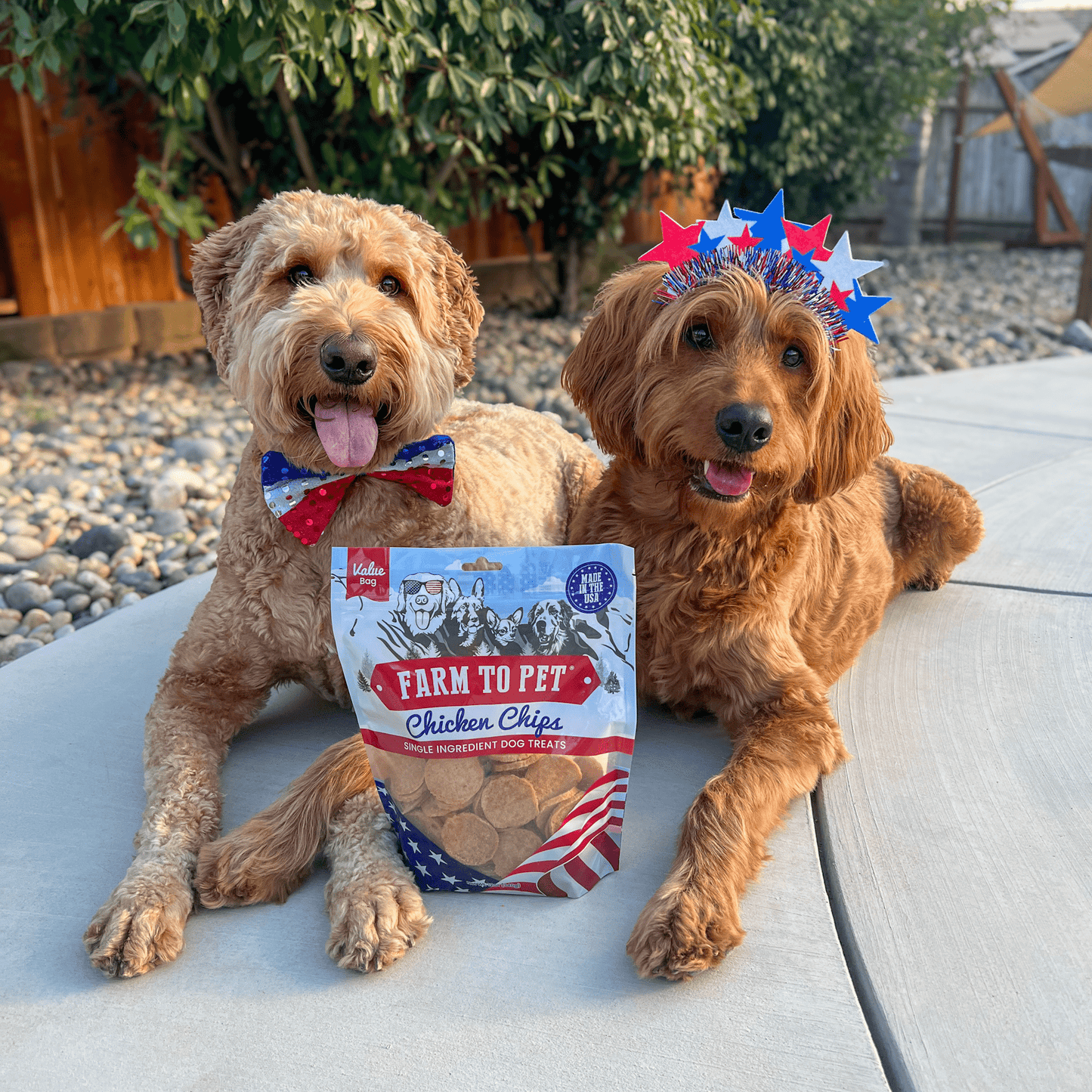 Dog Treats Americana Chicken Chips 4.2 Oz 🇺🇸
