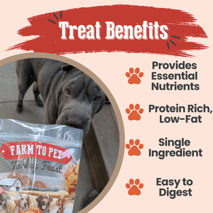 Dog Treats Turkey Feast Chips 3-Pack 12oz 🦃
