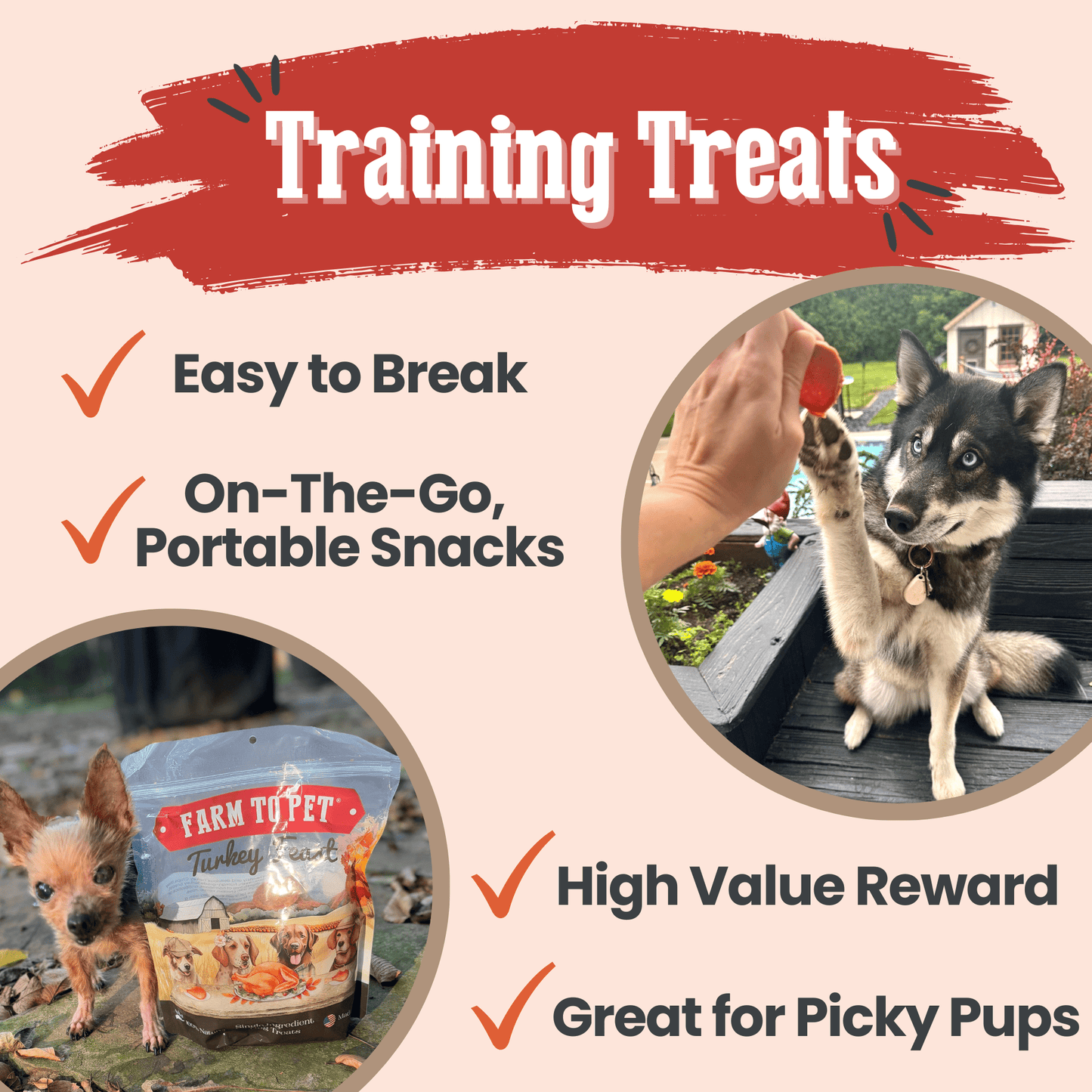 Dog Treats Turkey Feast Chips 3-Pack 12oz 🦃