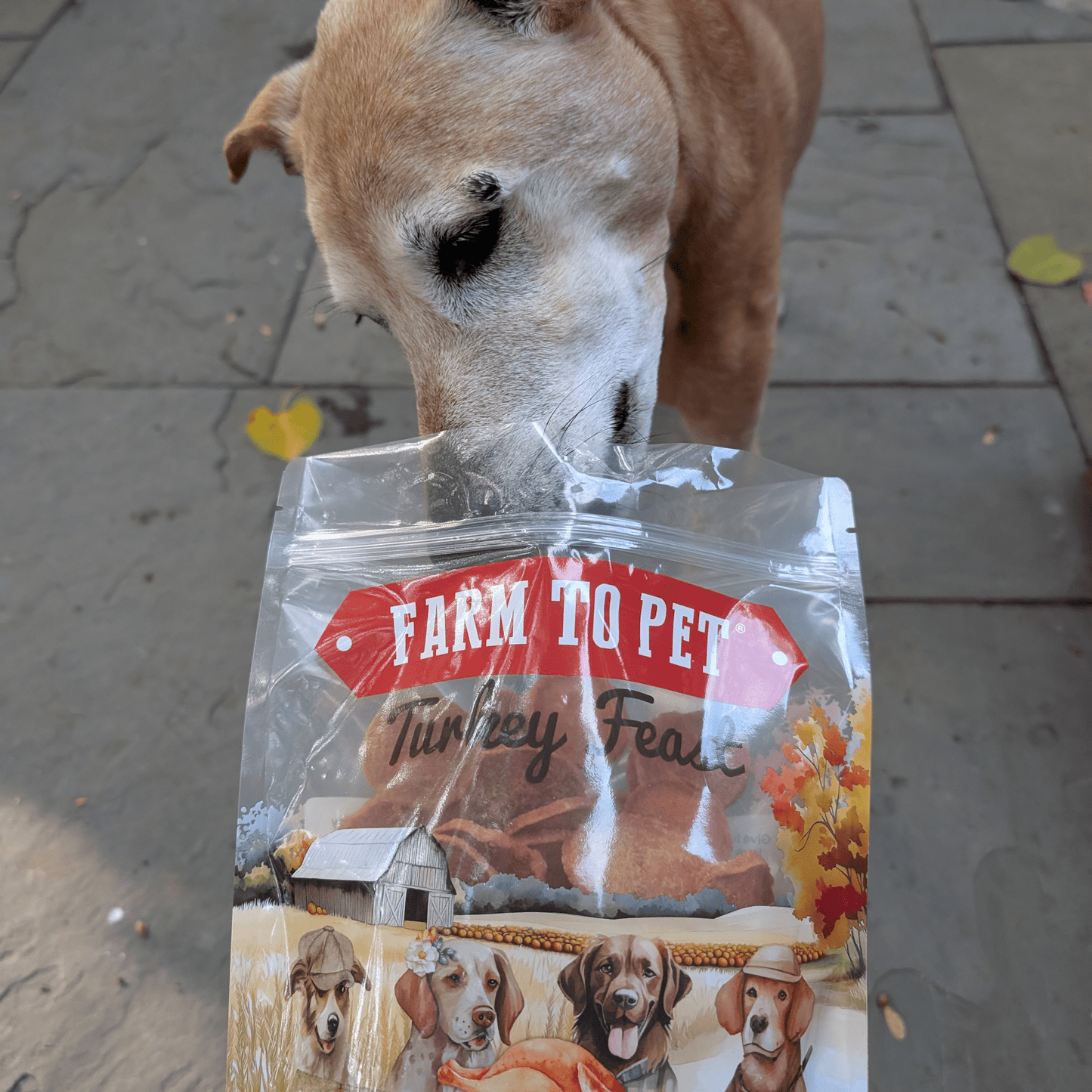 Dog Treats Turkey Feast Chips 3-Pack 12oz 🦃