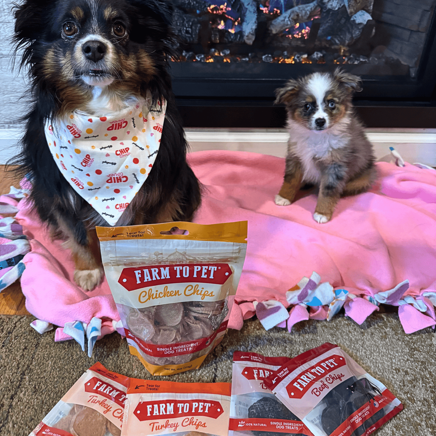 Dog Treats Puppy Starter Pack 5.7 Oz Training 🐶
