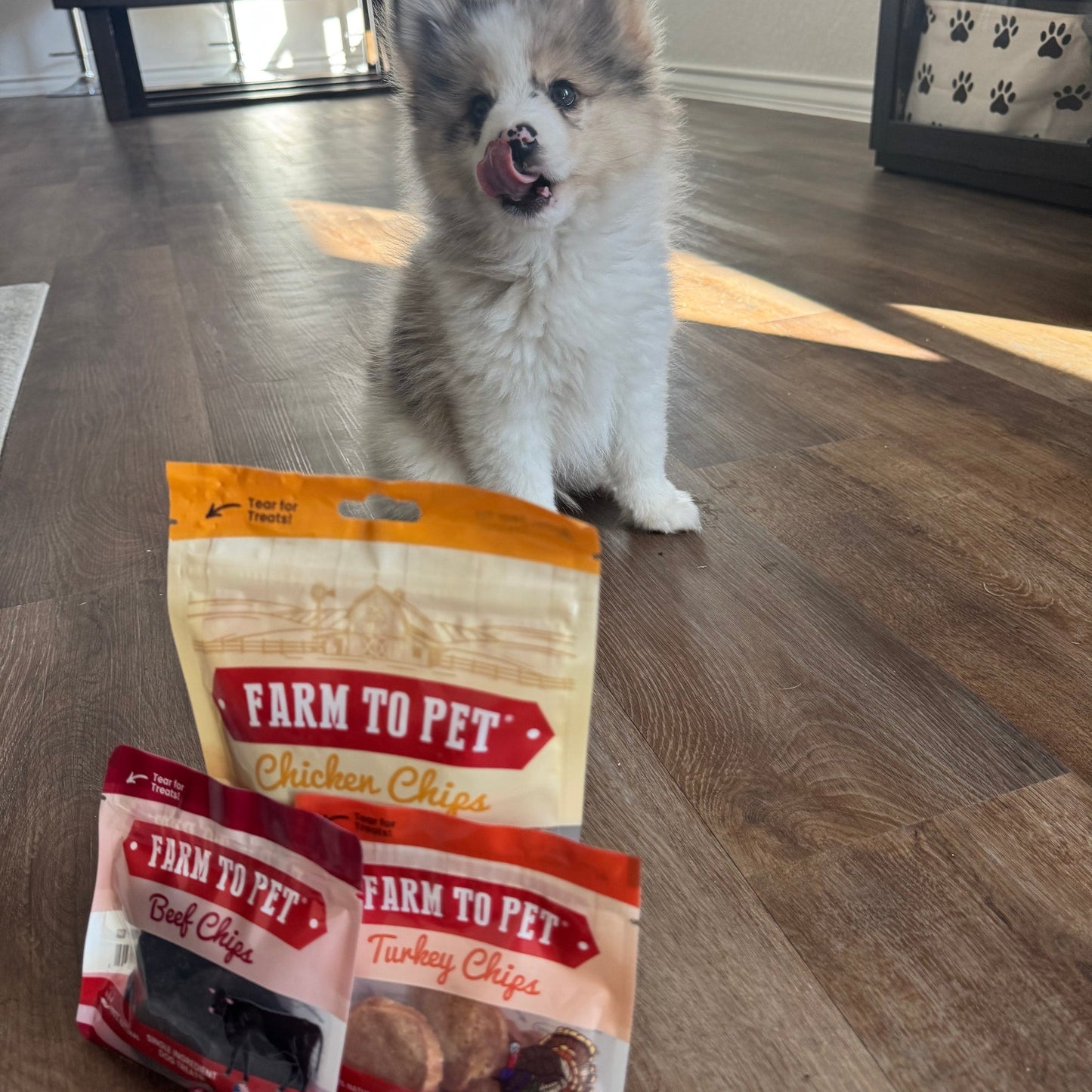 Dog Treats Puppy Starter Pack 5.7 Oz Training 🐶