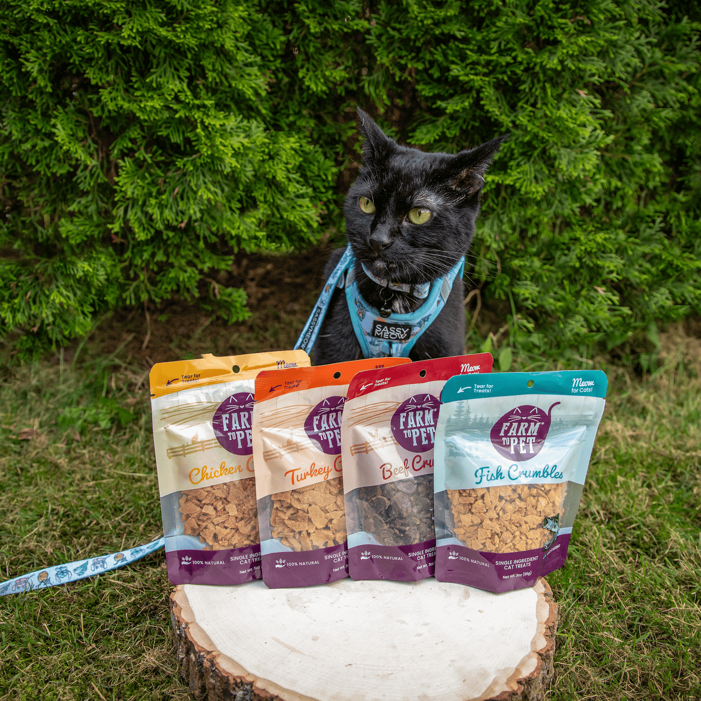 Farm To Pet Beef Crumbles Cat Treats 3.2oz 🥩