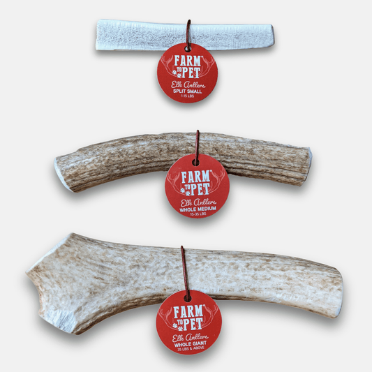 Elk Antlers Dog Chews Whole And Split Options 🦌