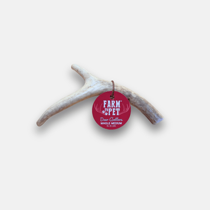 Deer Antler Dog Chews Large Whole 6 Oz 🦌