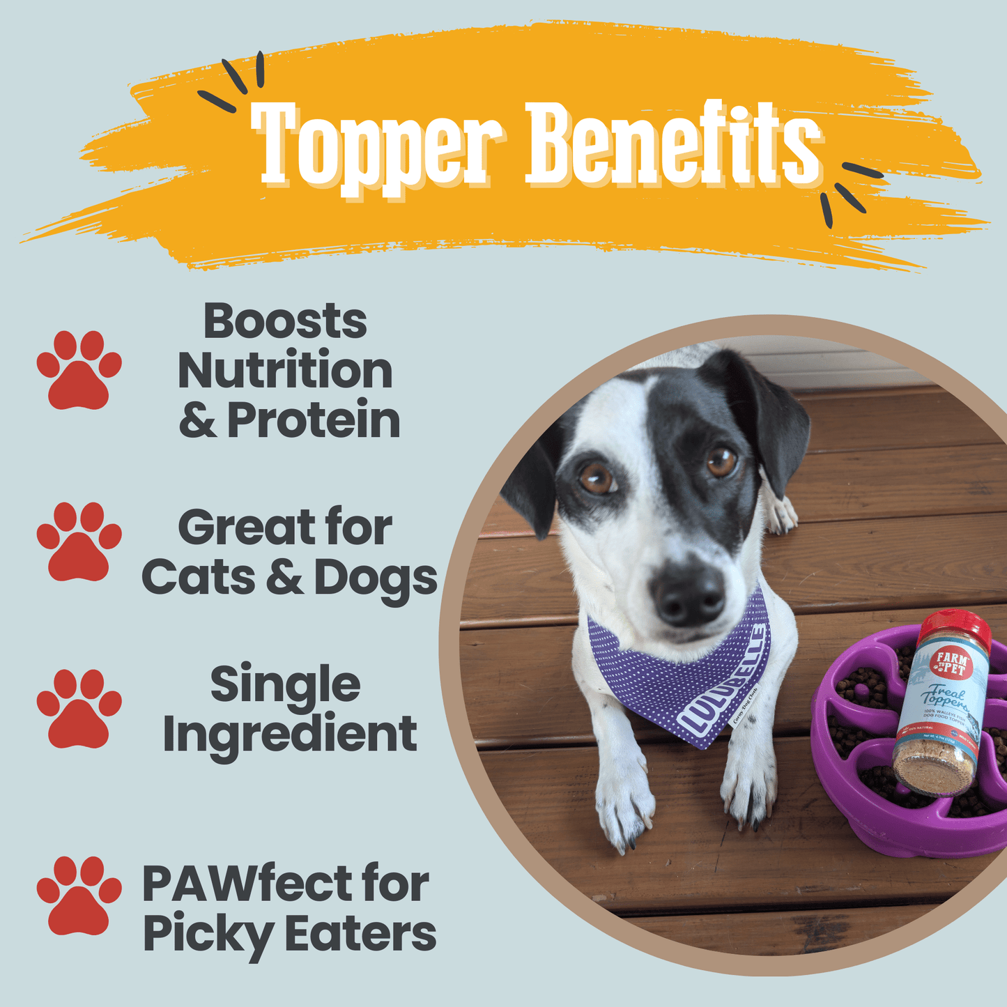 Fish Food Topper - Low-Fat Meal Enhancement 🐟