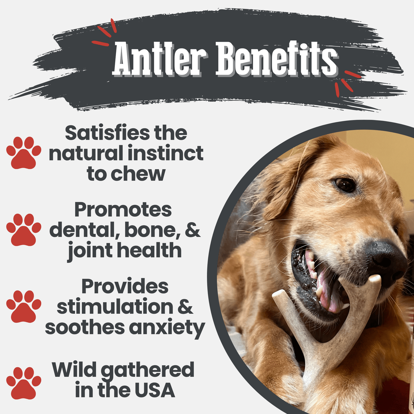 Deer Antler Dog Chews Large Whole 6 Oz 🦌