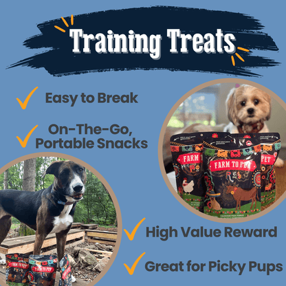 Dog Treats Fiesta Pack Variety Bundle 12.6 Oz 🎉