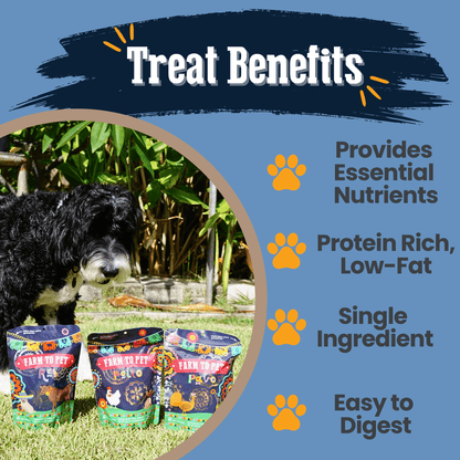 Dog Treats Fiesta Pack Variety Bundle 12.6 Oz 🎉