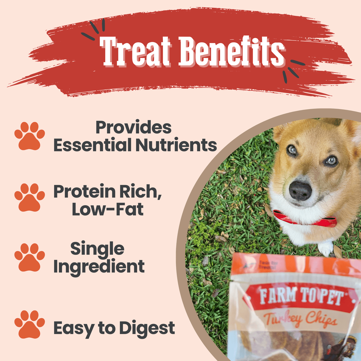 Dog Treats Turkey Chips Snack Pack Bundle 3 Oz 🦃
