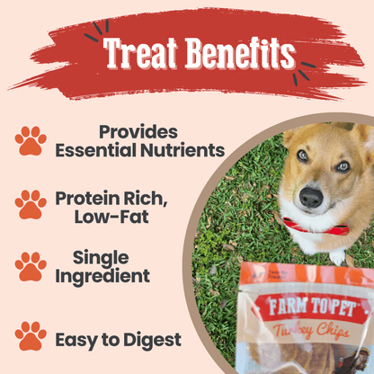 Dog Treats Turkey Chips Snack Pack Bundle 3 Oz 🦃