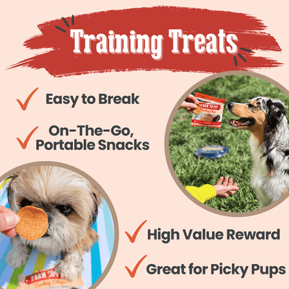 Dog Treats Turkey Chips Snack Pack Bundle 3 Oz 🦃
