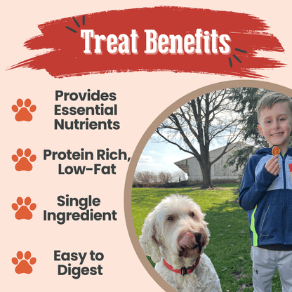 Dog Treats Turkey Chips Single Ingredient Natural 4oz 🦃
