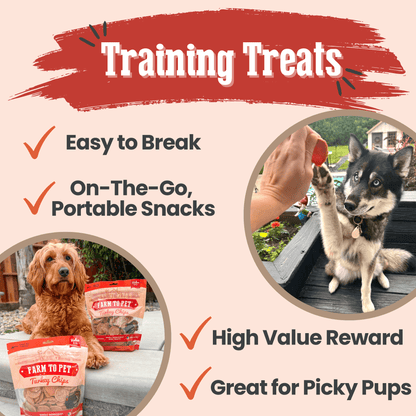 Dog Treats Turkey Chips Single Ingredient Natural 4oz 🦃
