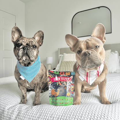 Dog Treats Fiesta Pack Variety Bundle 12.6 Oz 🎉