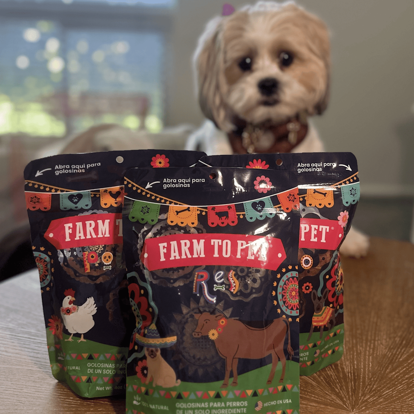 Dog Treats Fiesta Pack Variety Bundle 12.6 Oz 🎉